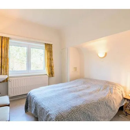 別荘 In With Barbecue